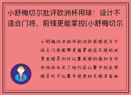 小舒梅切尔批评欧洲杯用球：设计不适合门将，前锋更能掌控(小舒梅切尔英冠进球)